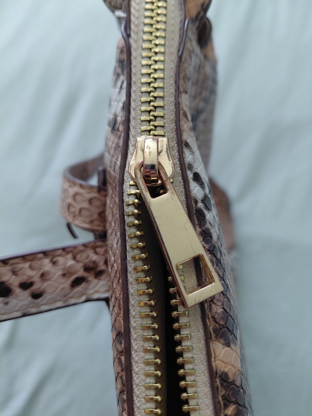 Snake-Print Backpack - Picture 5 of 11